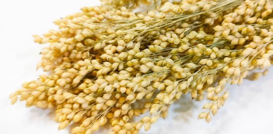 millet