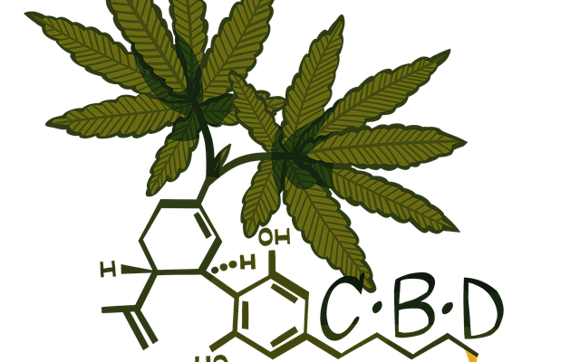 cbd