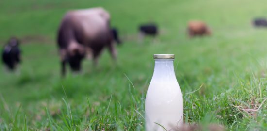 A bottle of milk with a green farm in the background.