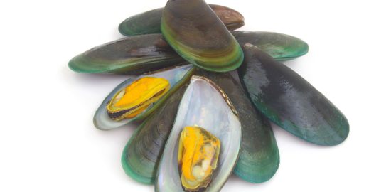 緑イ貝（ミドリイガイ）