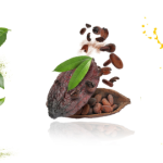 2026年に向けて提案するフレーバー