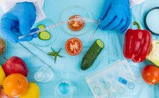 laboratory testing of different food products. Selective focus.