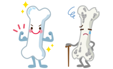bone_Osteoporosis