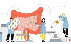 乳酸菌、腸内環境