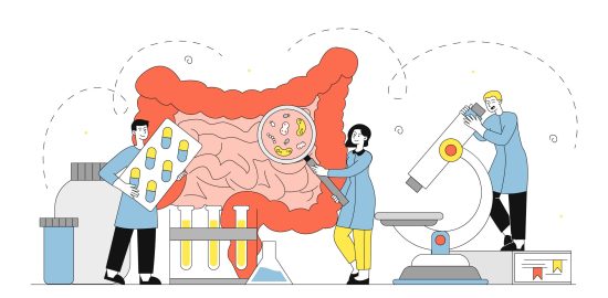 乳酸菌、腸内環境