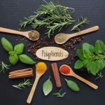 polyphenols