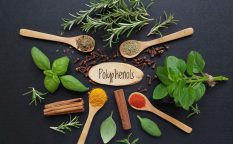 polyphenols