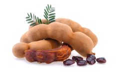 Tamarind