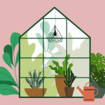 植物
