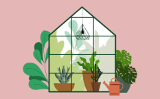 植物