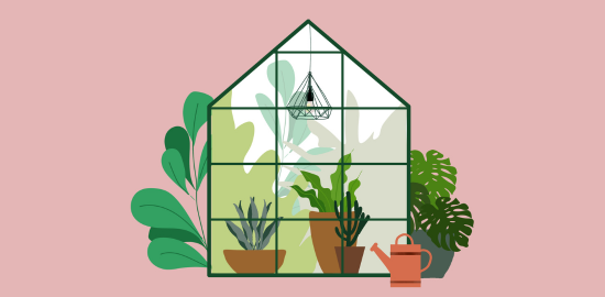 植物