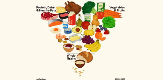 Food pyramid_dga
