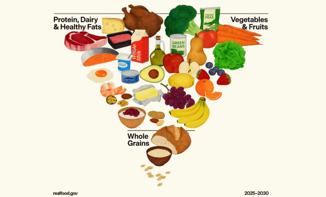 Food pyramid_dga