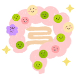 腸内細菌