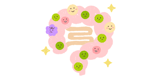 腸内細菌