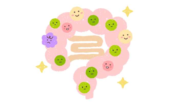 腸内細菌
