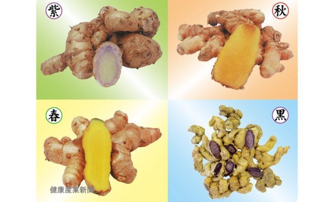 健康産業新聞「ウコン」の種類と効能