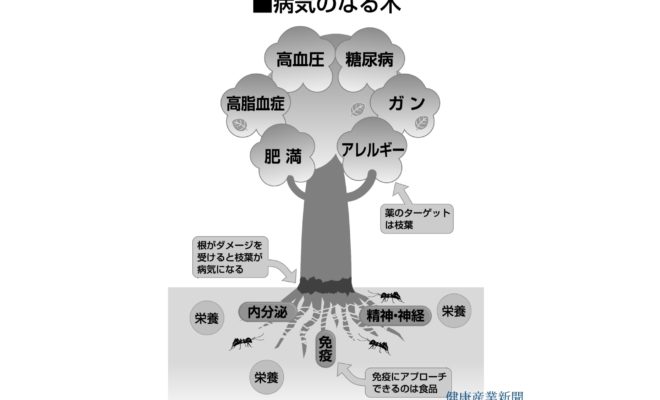 「病気のなる木」～免疫表示に向けて～ 山本哲郎氏