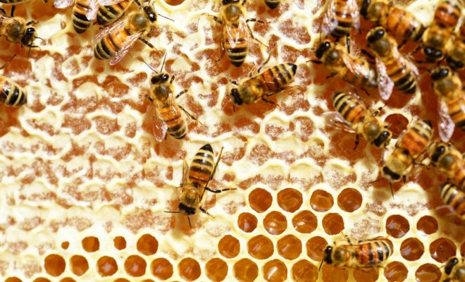 健康産業新聞1640