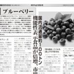 健康産業新聞1641_ブルーベリー