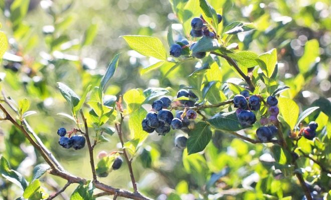 健康産業新聞1642_04