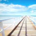 健康産業新聞164507_エイチホルスタイン