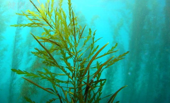 健康産業新聞165304トーア紡コーポレーション