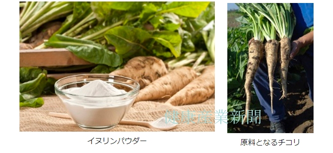 健康産業新聞165305イヌリン