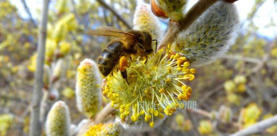 健康産業新聞165406aアピ