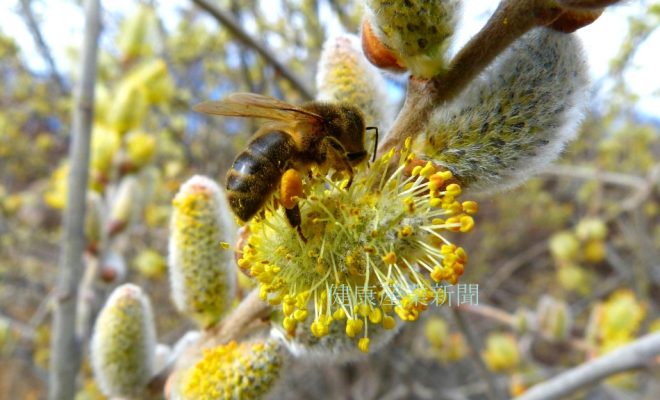 健康産業新聞165406aアピ